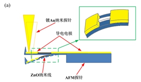 wps618E.tmp.jpg