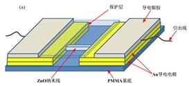 wps6190.tmp.jpg