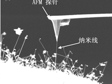 wps6168.tmp.jpg