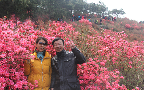 IMG_2401 500.png
