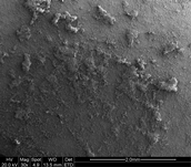 wps9059.tmp.jpg